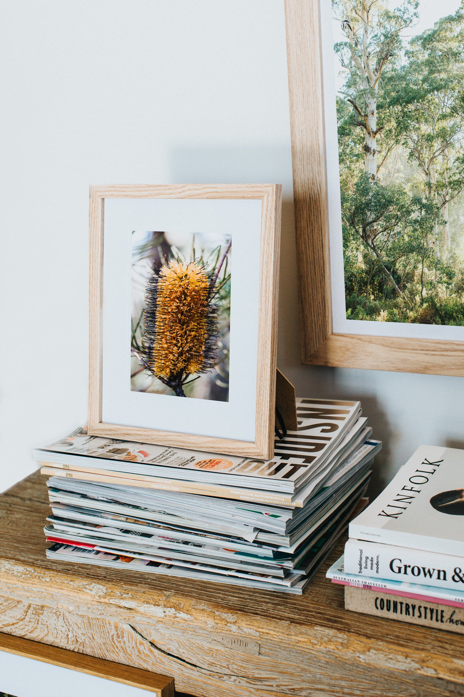 Australian Banksia Spinulosa Photographic Print - Emily O'Brien