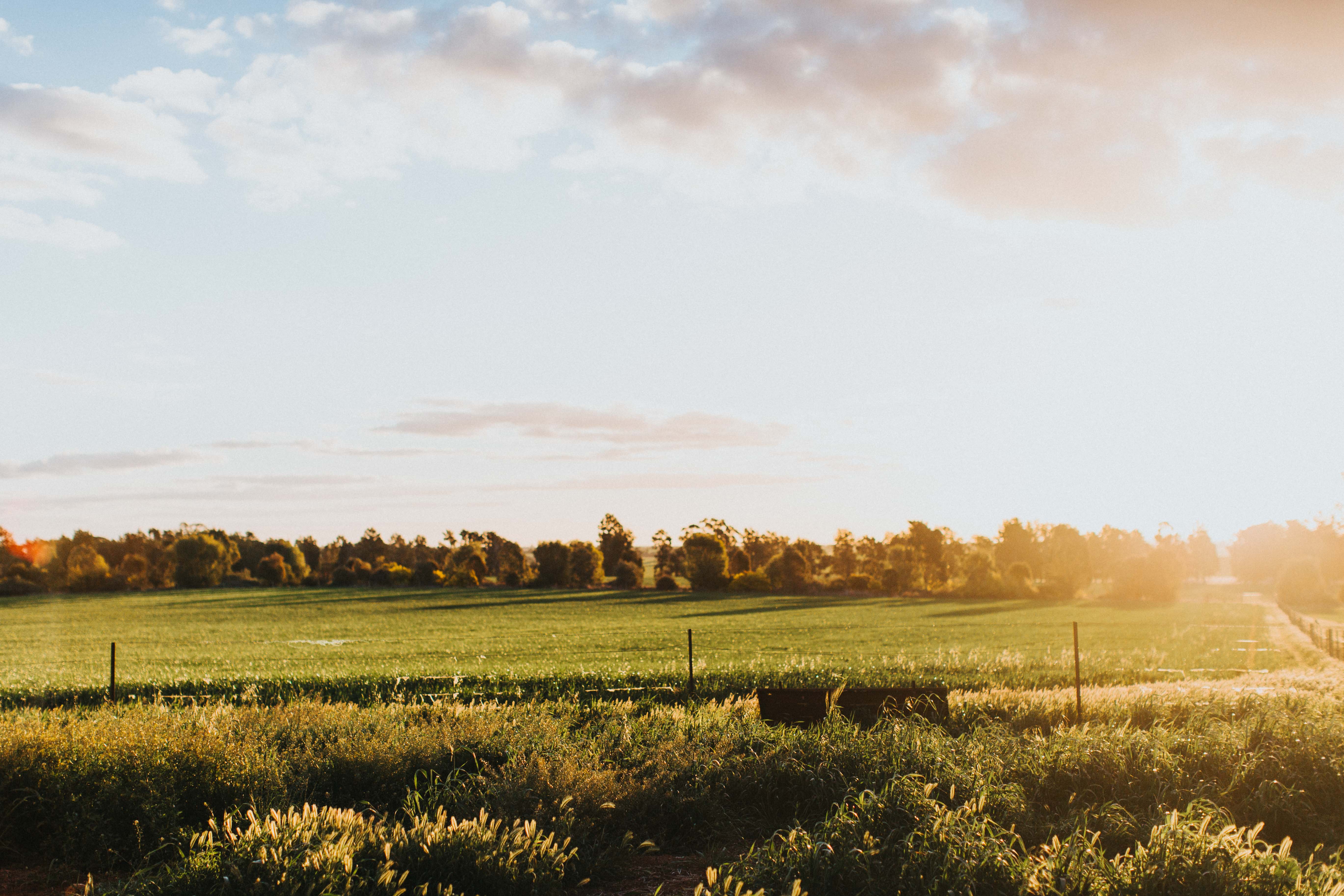 Brushwood Farm I Photographic Print - Emily O'Brien