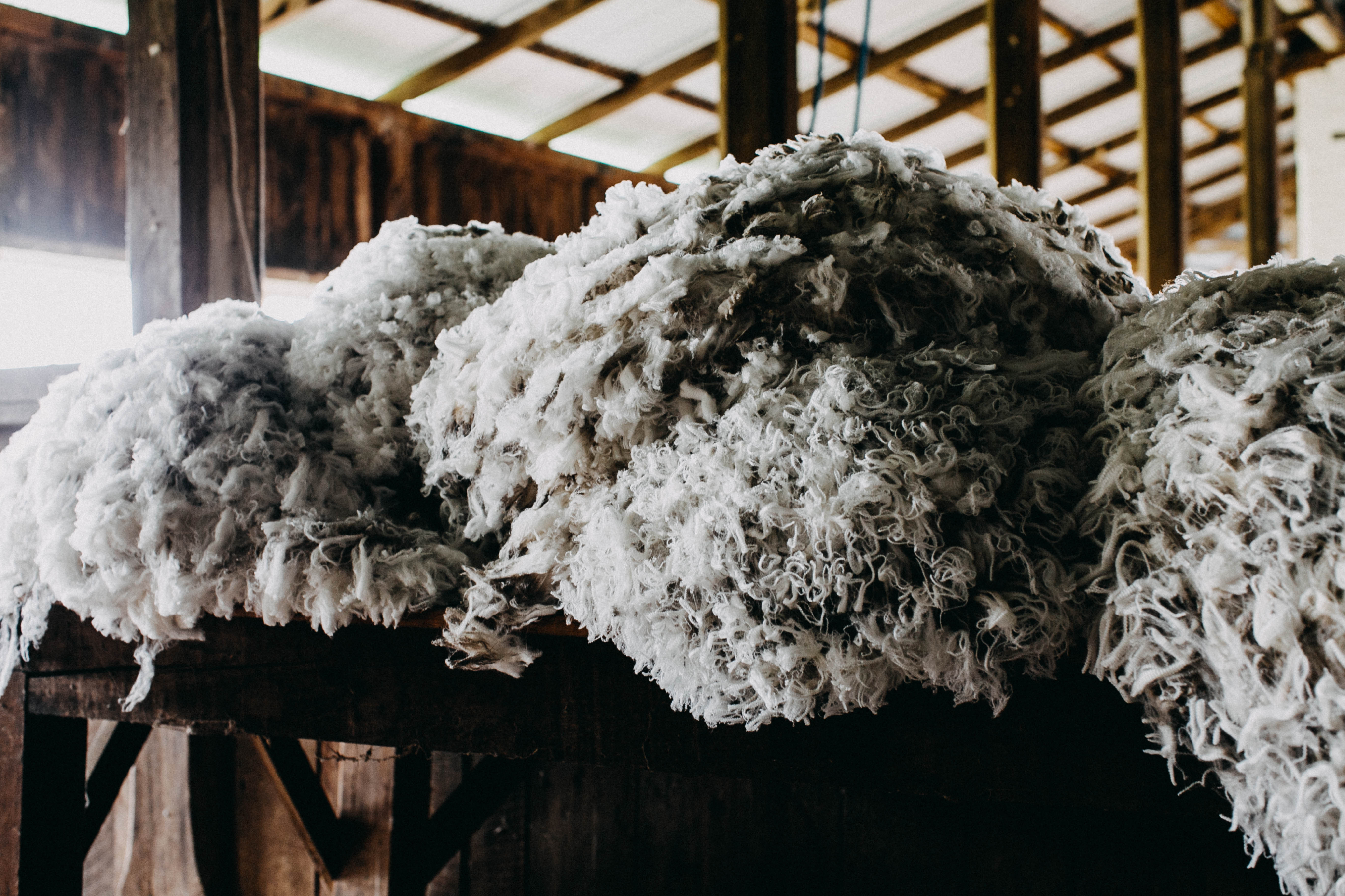 Wool Bundle II Photographic Print - Emily O'Brien