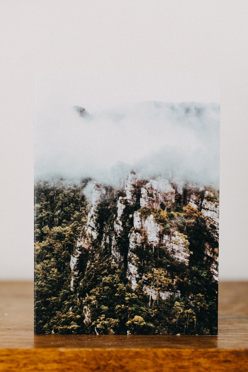 Tasmanian Rainforest Into the Mist Greeting Card - Emily O'Brien
