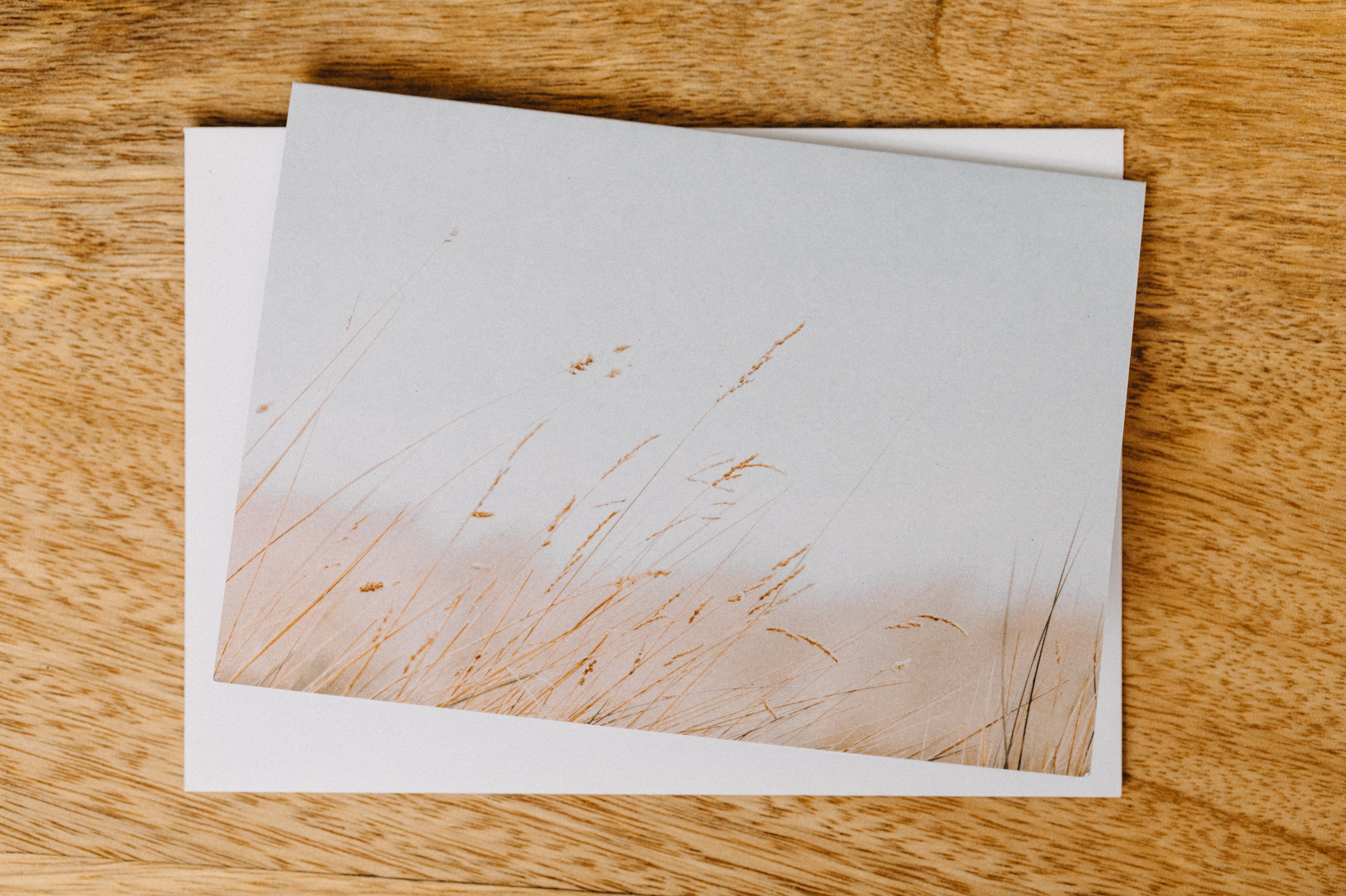 Sea Grass Greeting Card - Emily O'Brien