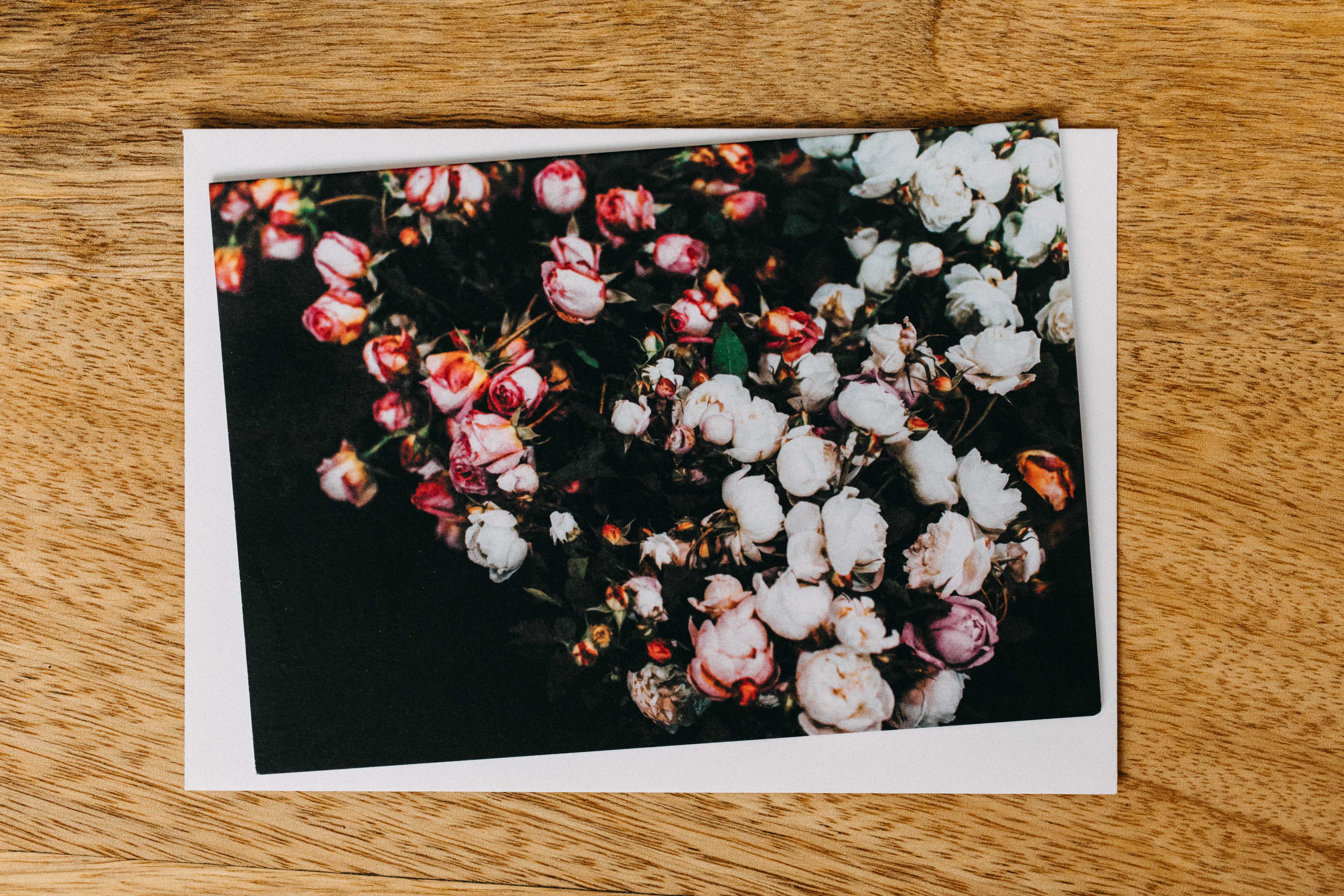 David Austin Roses Greeting Card - Emily O'Brien