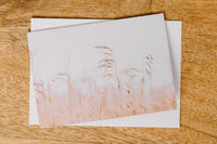 Wilsons Promontory Wild Grass Greeting Card