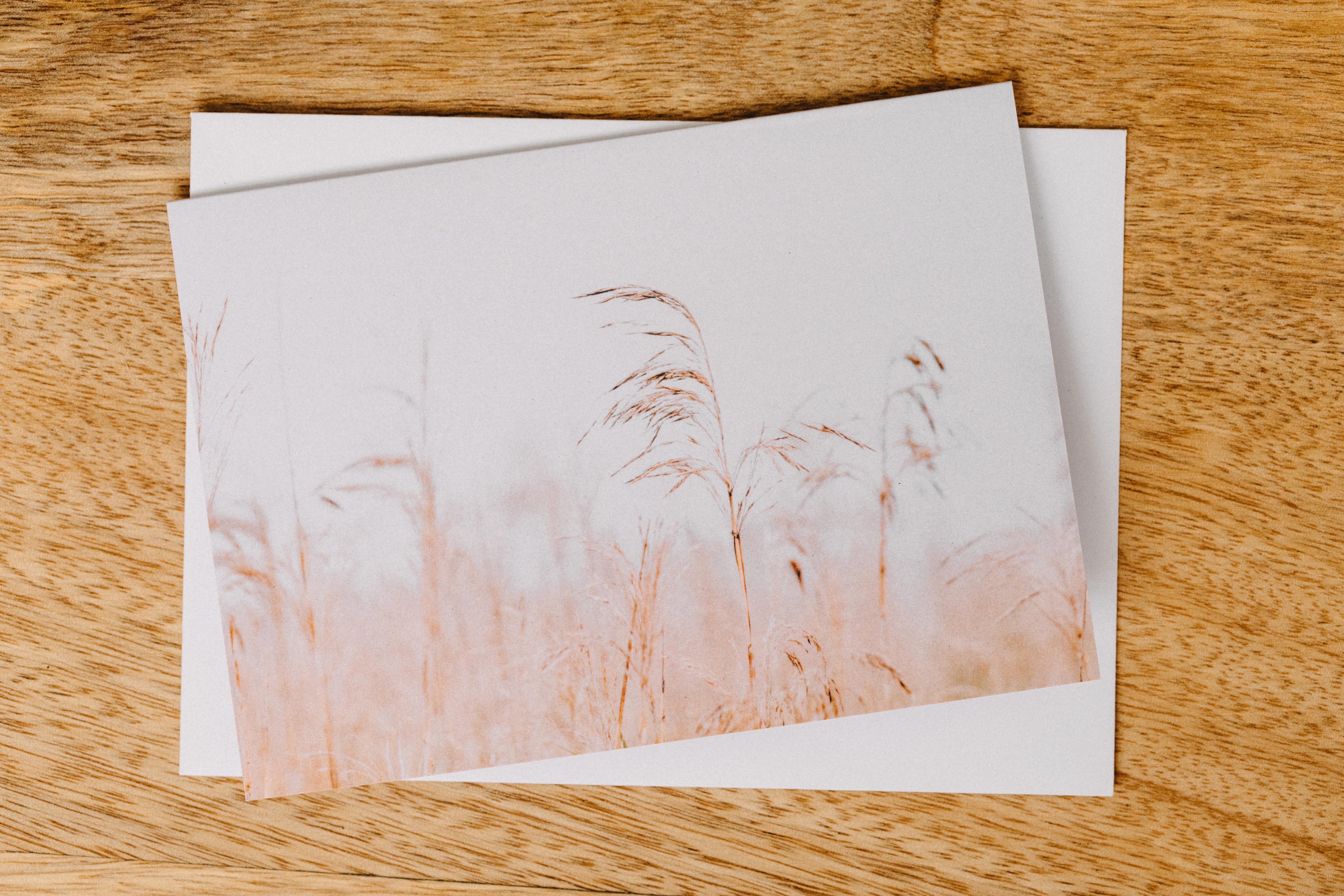 Wilsons Promontory Wild Grass Greeting Card