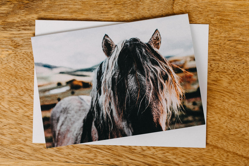 Walter the Horse I Greeting Card