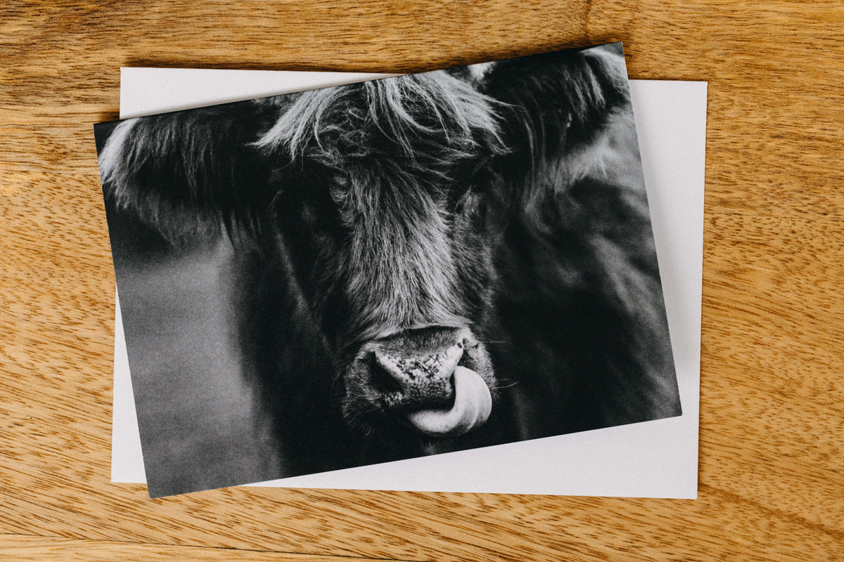 Hewie the Highland Cow Greeting Card