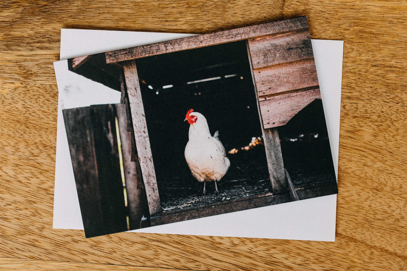 Into the Hen House Greeting Card - Emily O'Brien