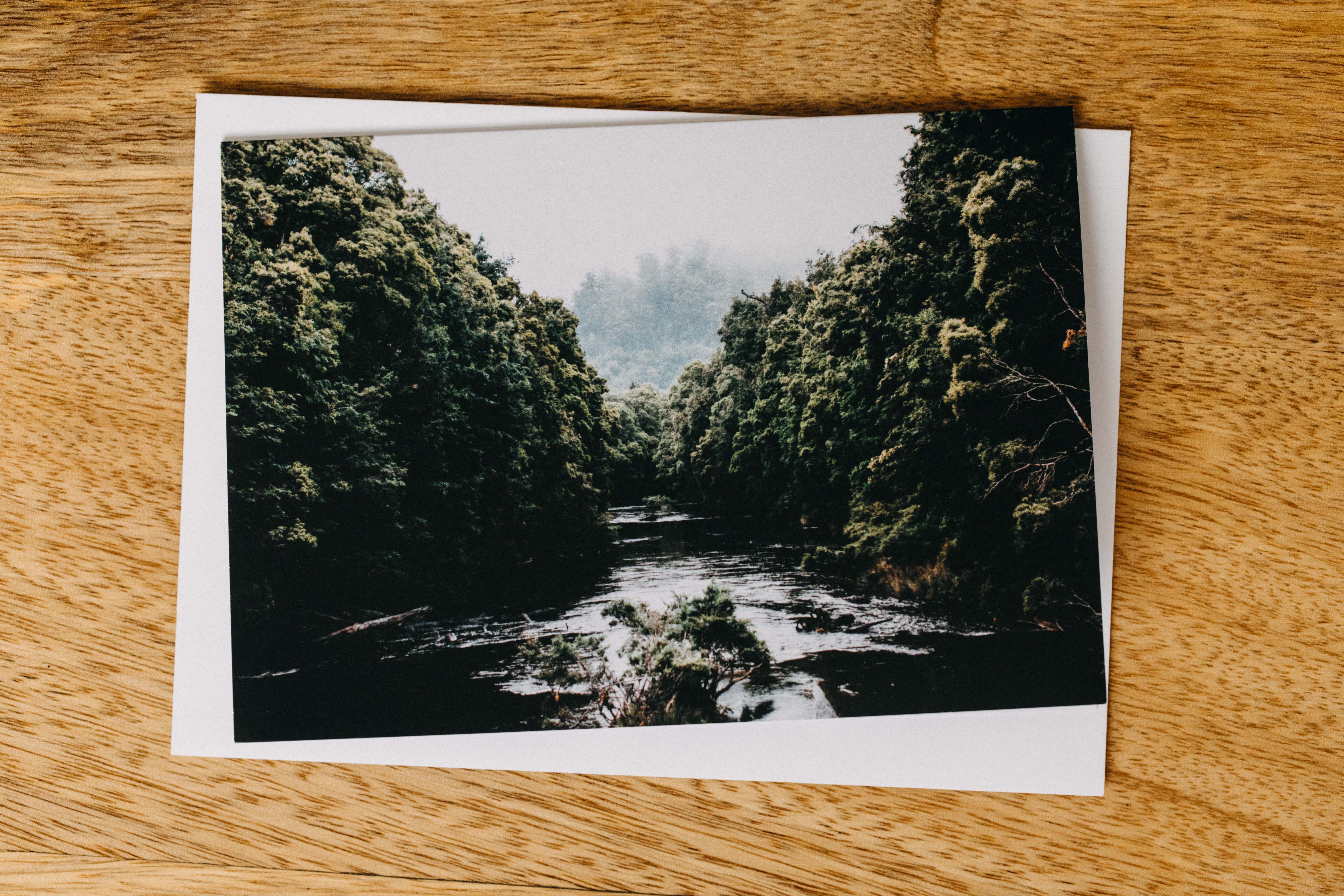 Savage River I Greeting Card