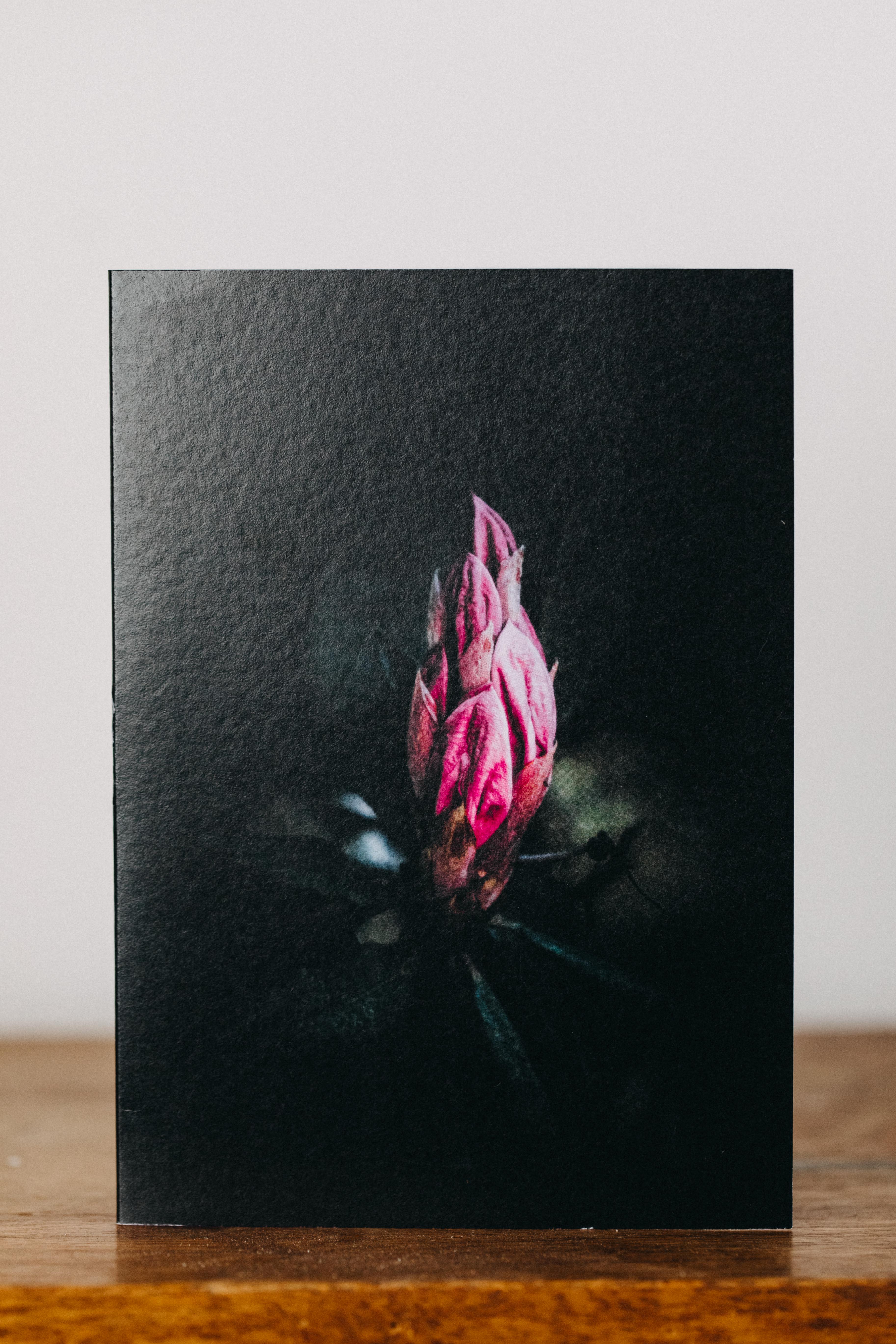 Bud Botanical Greeting Card