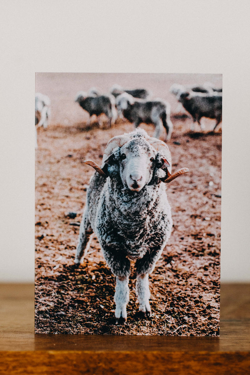 Clarence the Ram I Greeting Card