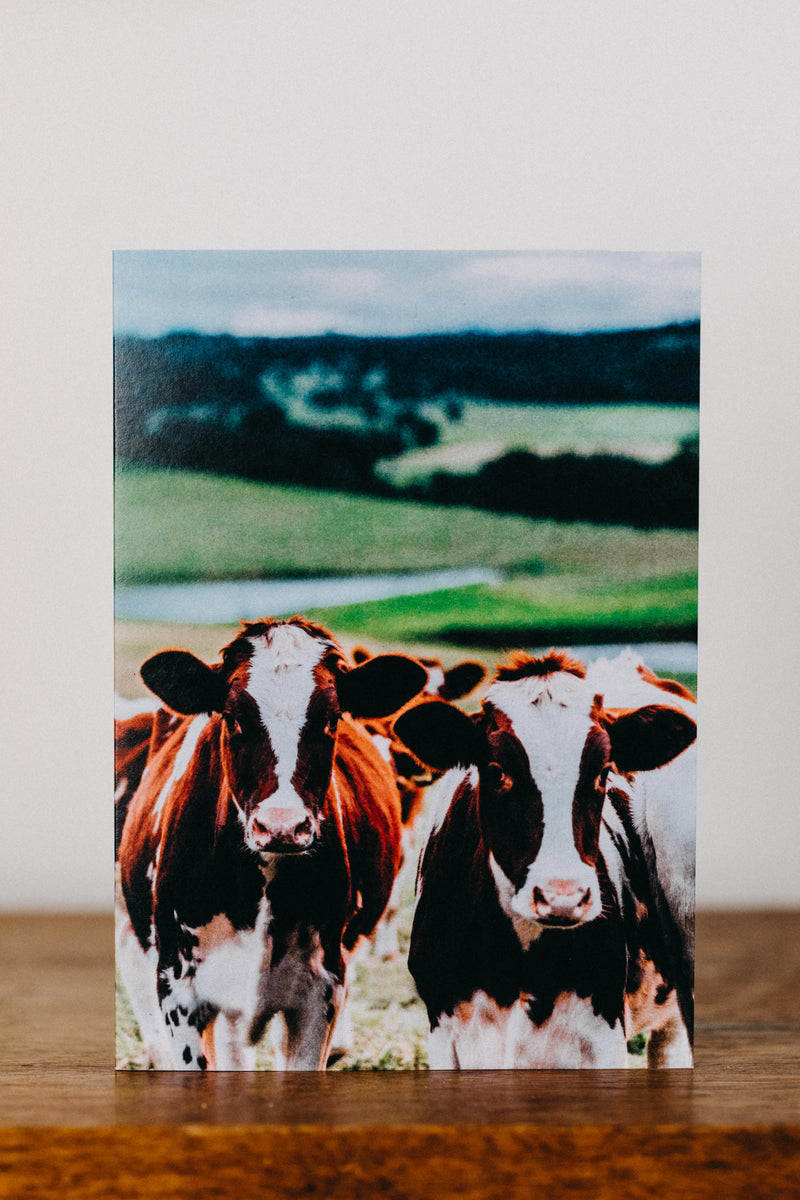 Betty + Beatrice Cow Greeting Card - Emily O'Brien