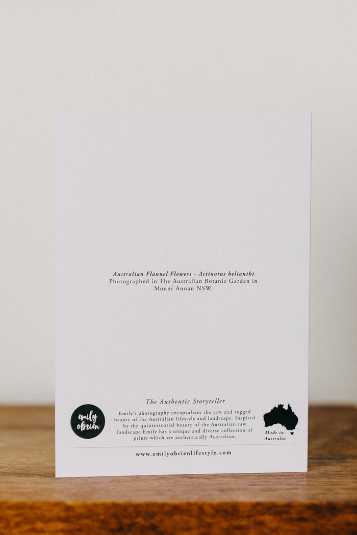 Australian Flannel Flower Greeting Card