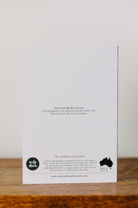 Australian Banksia Greeting Card - Emily O'Brien