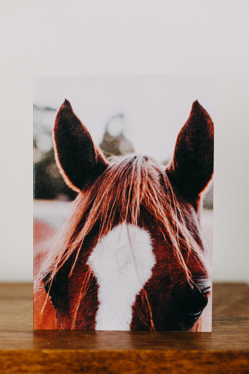 Benny the Brown Horse Greeting Card - Emily O'Brien