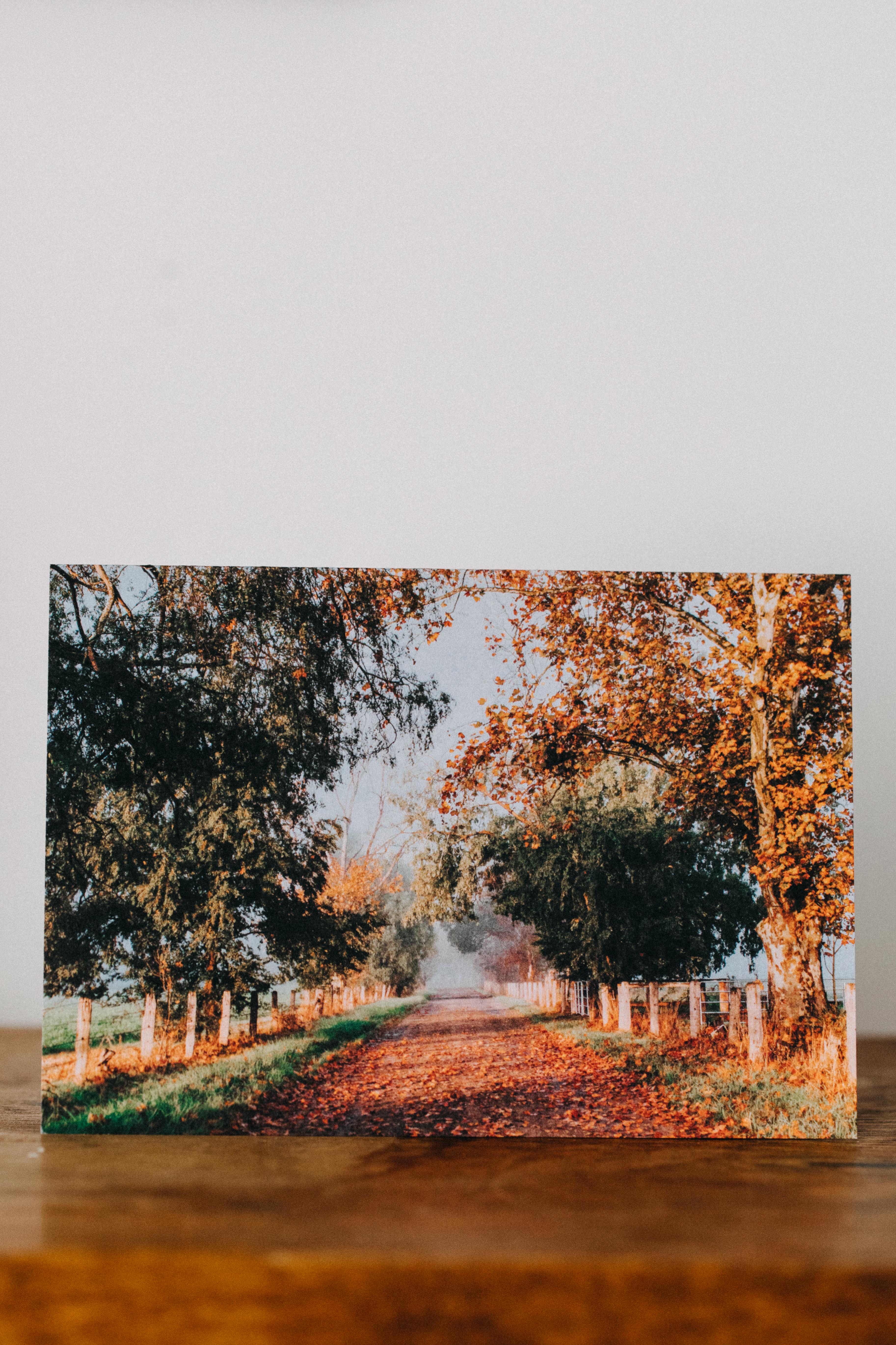 Brownlow Hill Greeting Card - Emily O'Brien