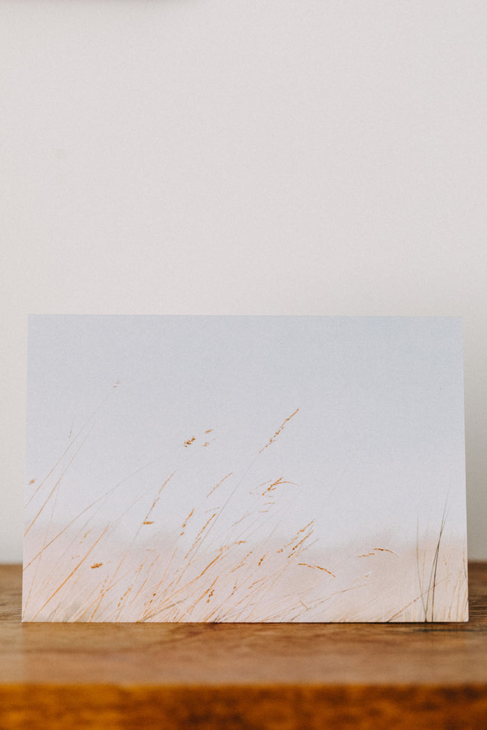 Sea Grass Greeting Card - Emily O'Brien