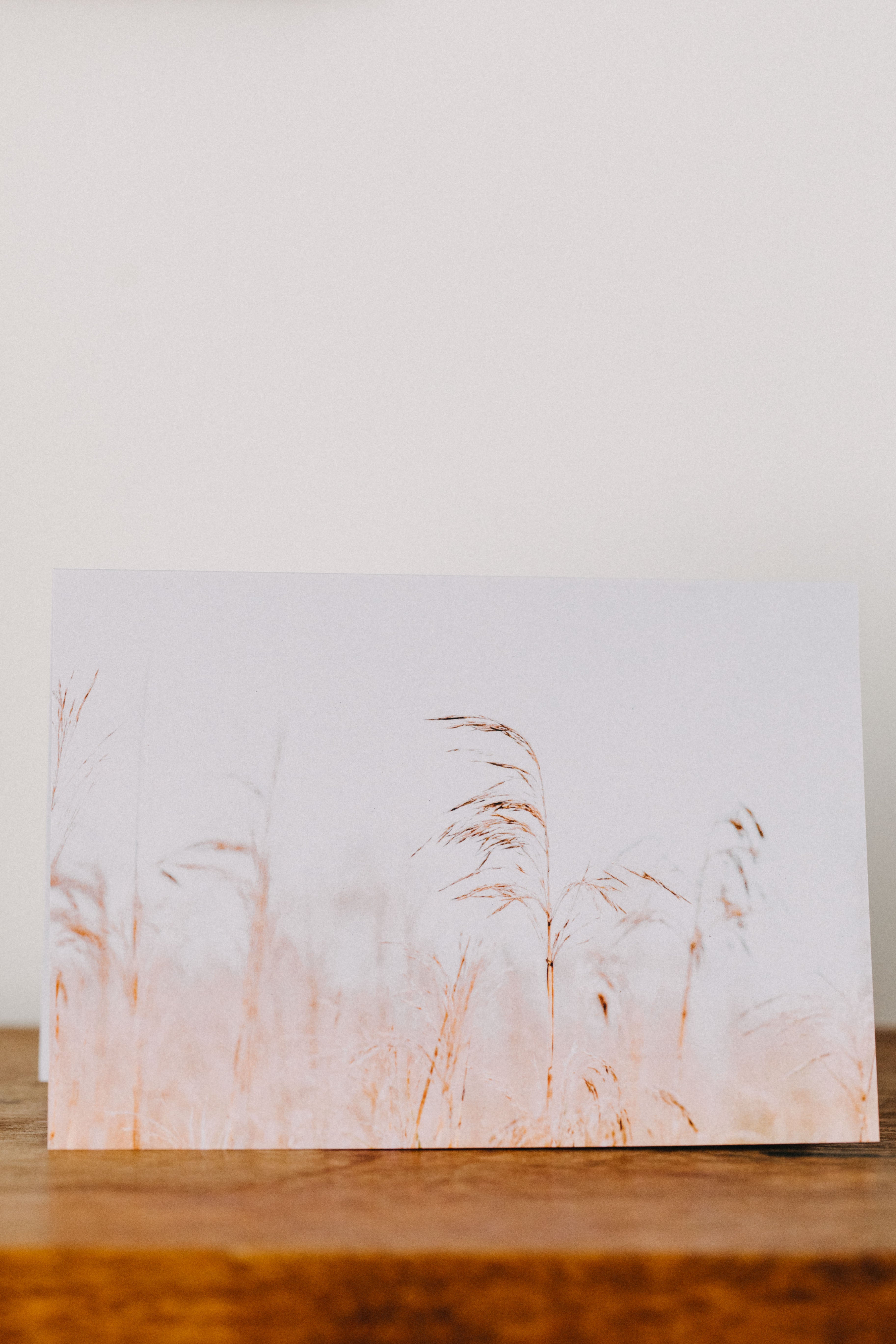 Wilsons Promontory Wild Grass Greeting Card
