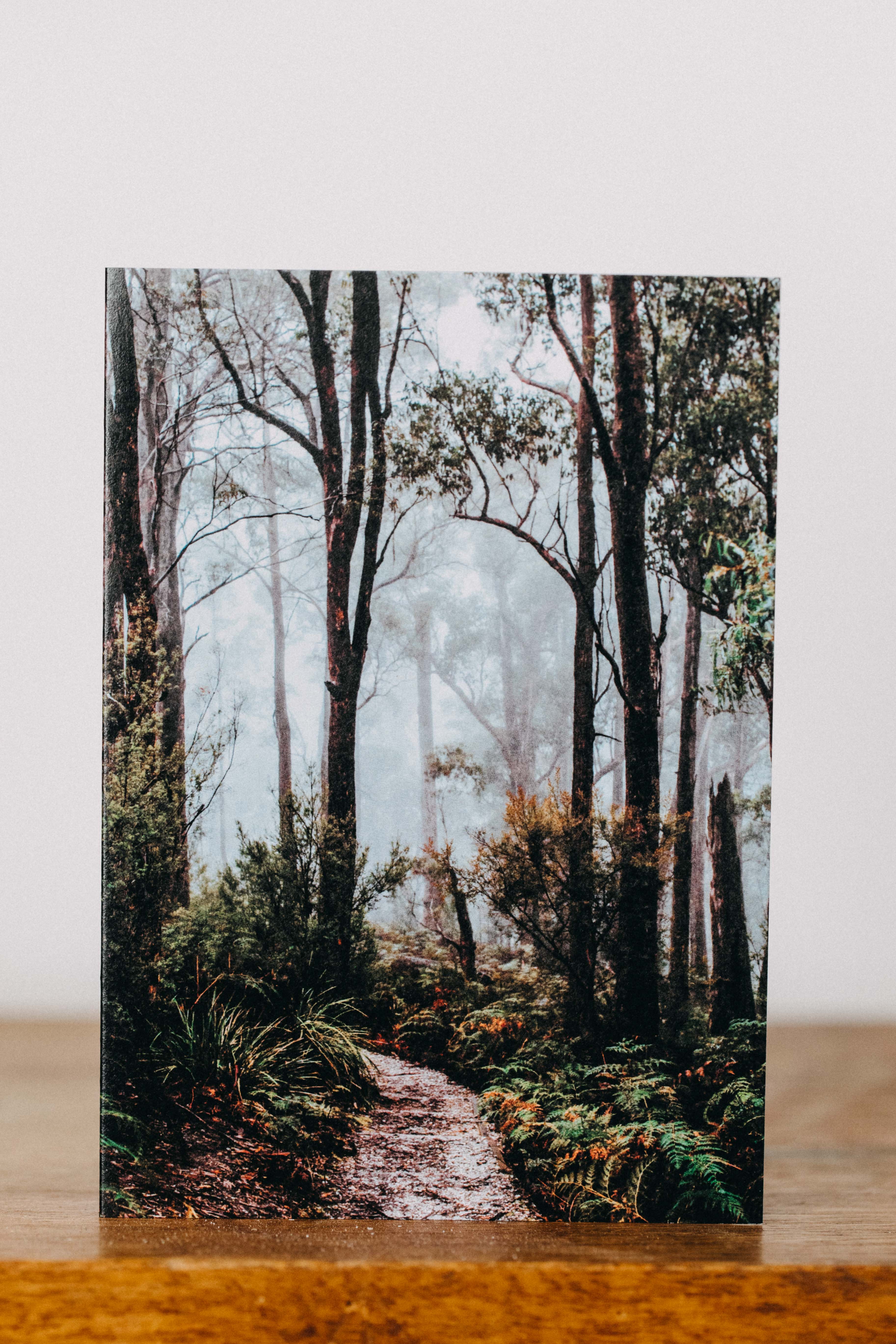 Tasmanian Rainforest I Greeting Card - Emily O'Brien