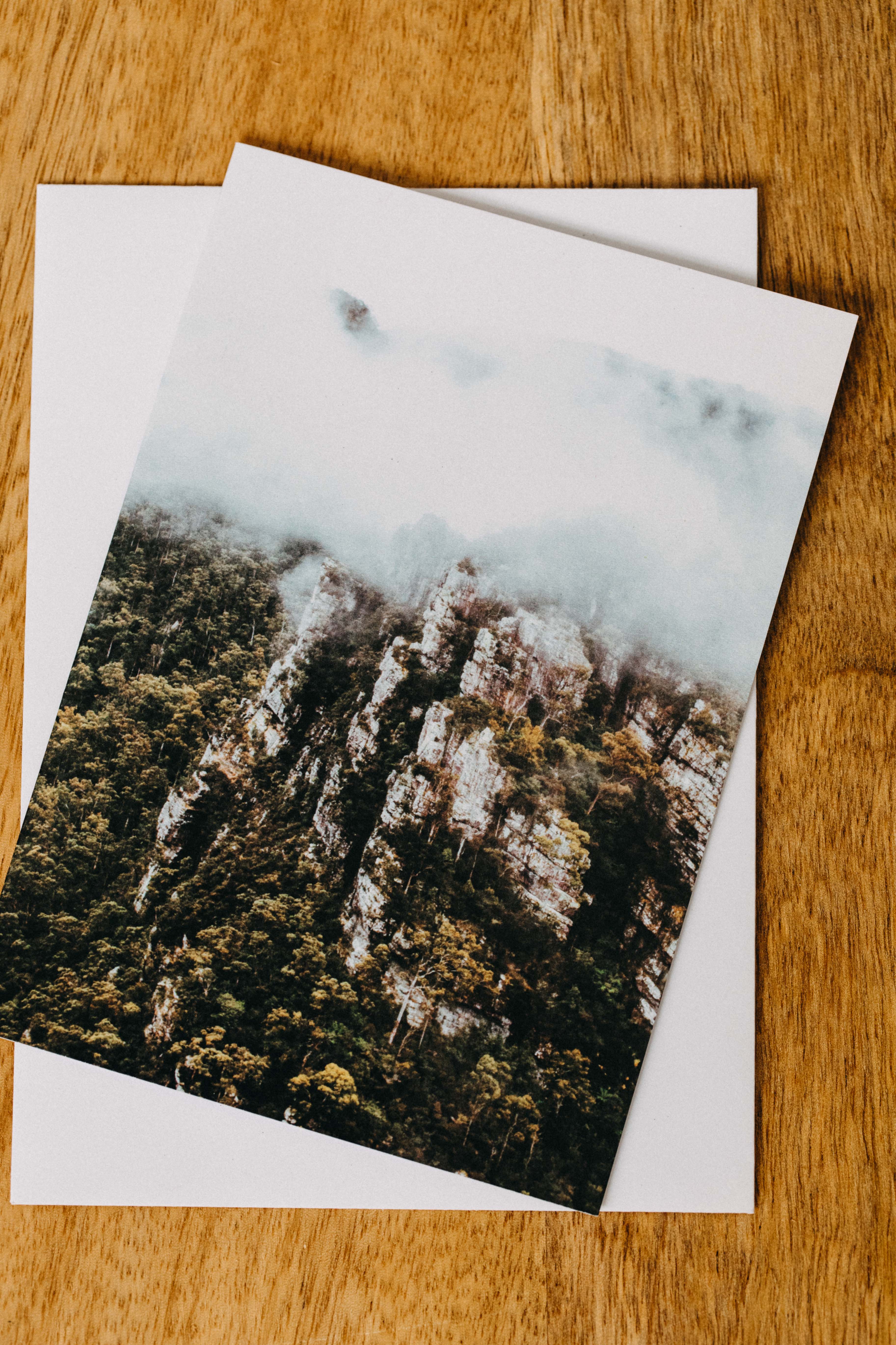 Tasmanian Rainforest Into the Mist Greeting Card - Emily O'Brien