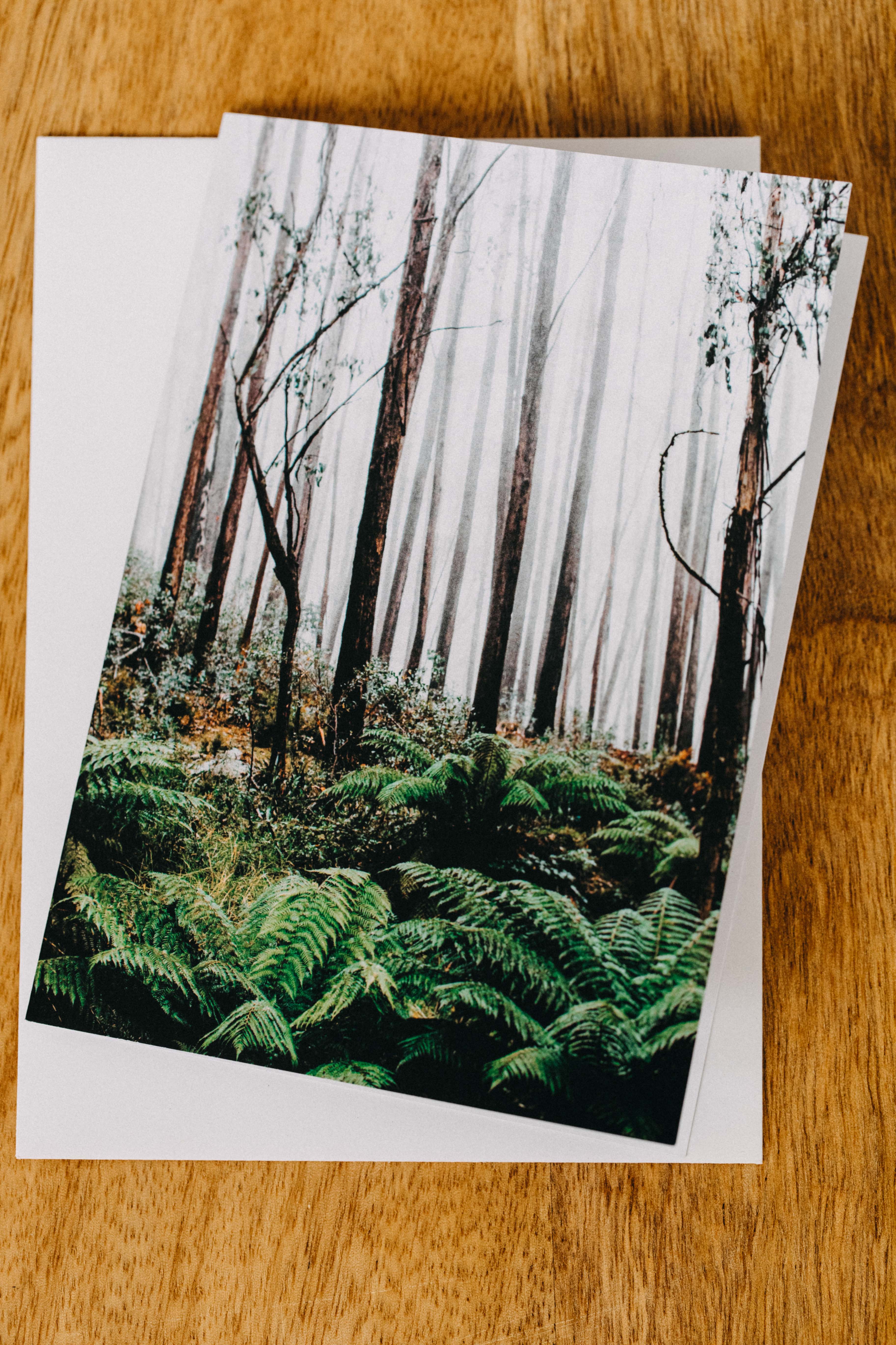 Foggy Ferns I Greeting Card