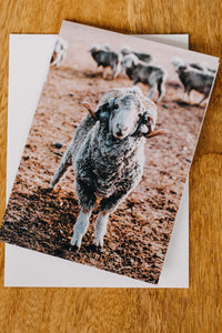 Clarence the Ram I Greeting Card