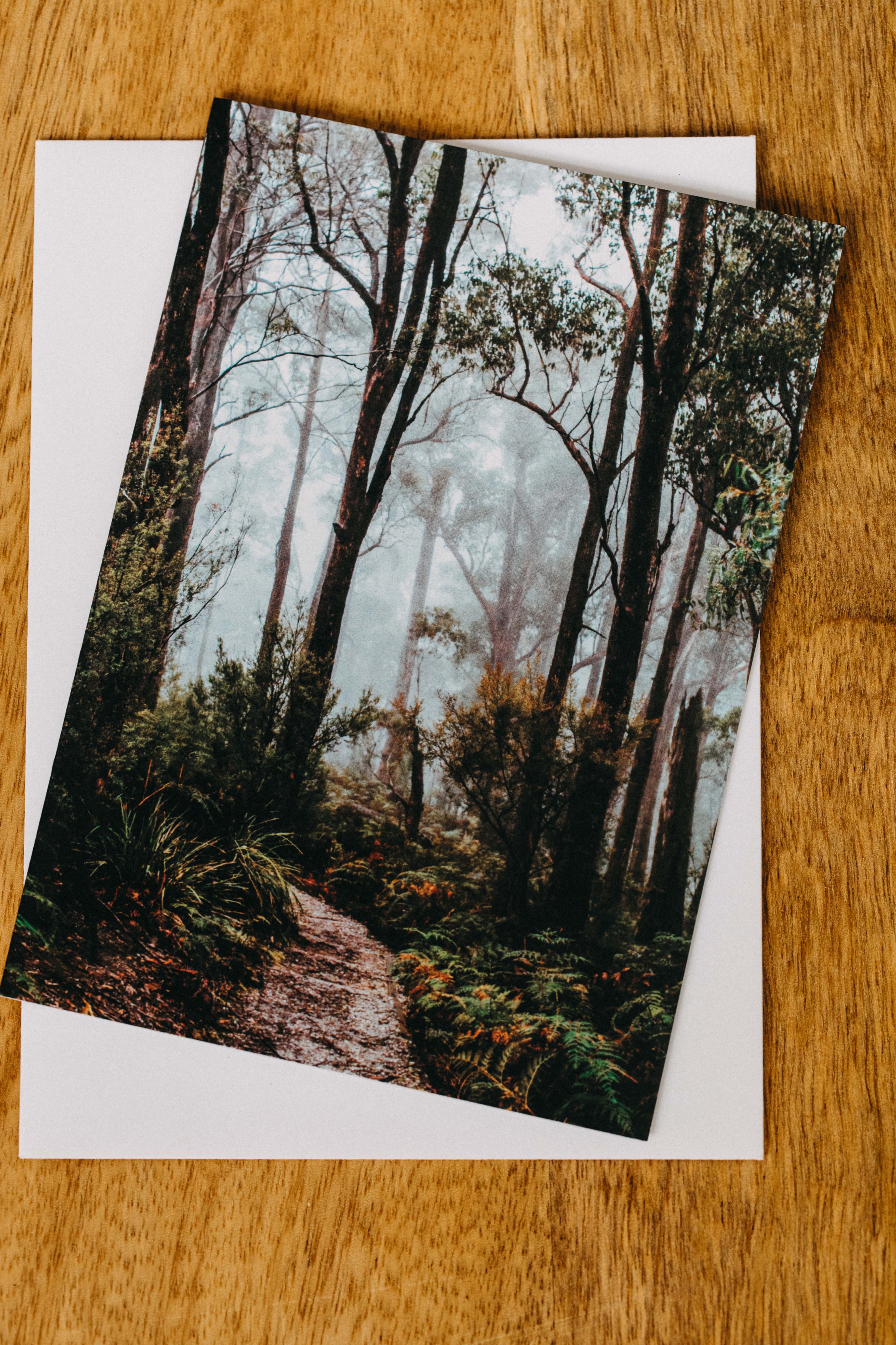 Tasmanian Rainforest I Greeting Card - Emily O'Brien