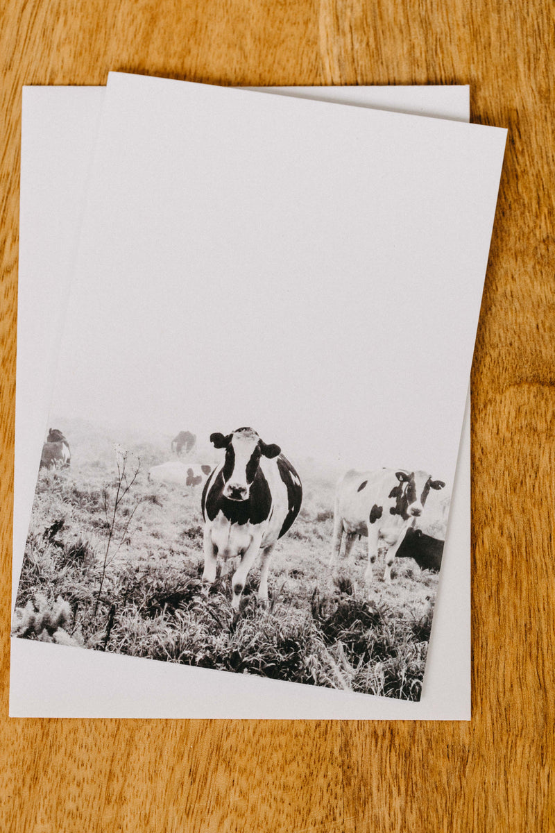 Dolores Dairy Cow Greeting Card - Emily O'Brien