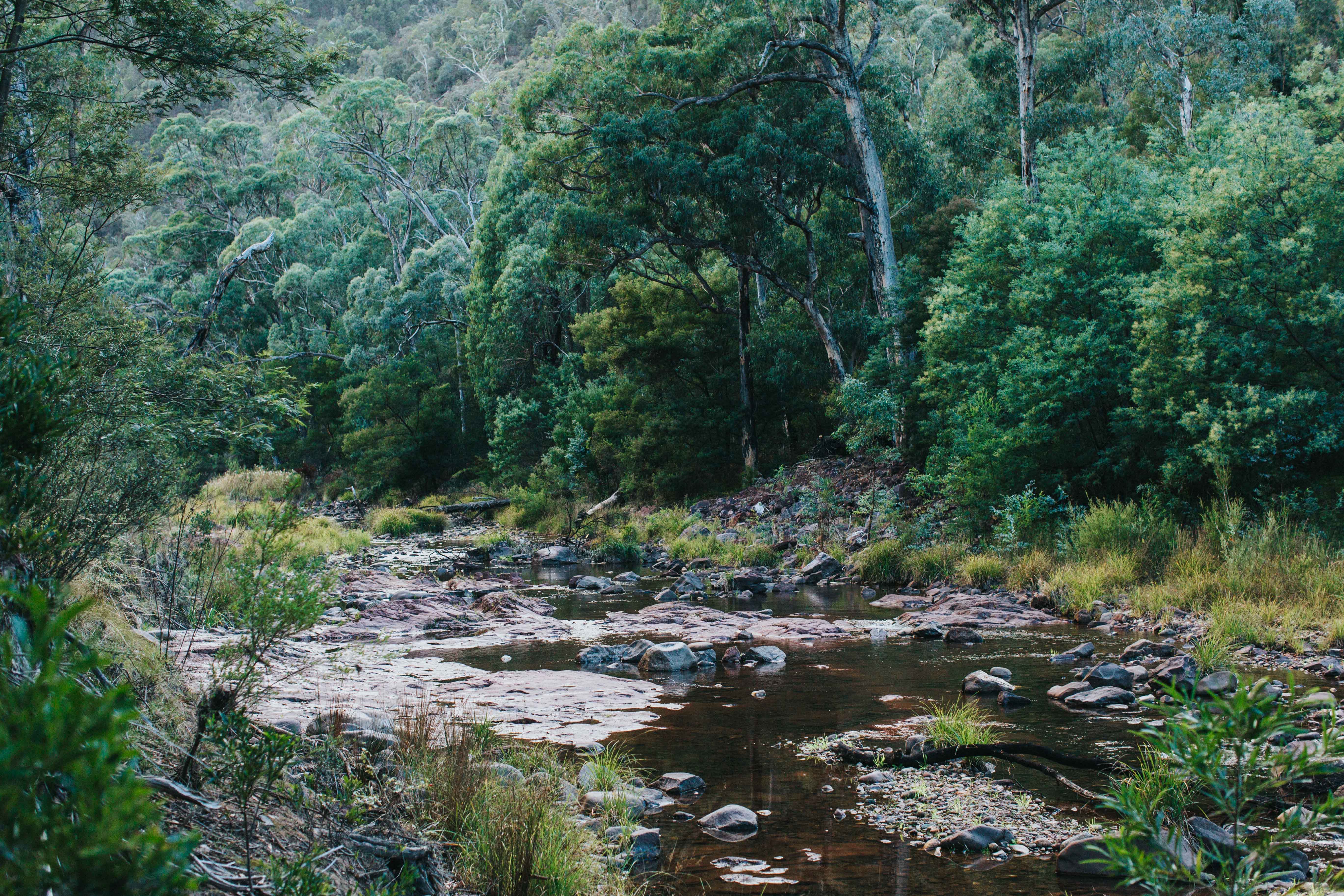 Highland Riverbank II Photographic Print